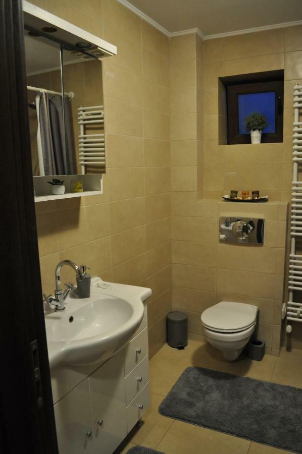 Sleep & Fly Apartment Otopeni Esterno foto